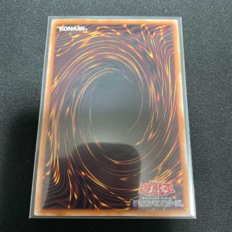 Yu-Gi-Oh! Chaos Unheru Chaos no Futabito - 25th Siku, Secret