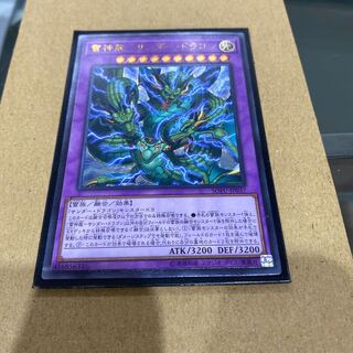 Lightning divine dragon Zapdos Dragon Relief