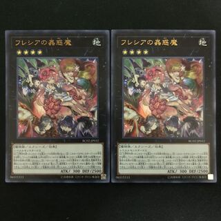 フレシアの蟲惑魔　ウルトラ　2枚