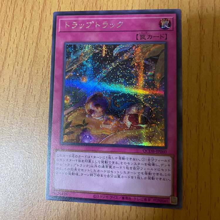 Sikh Trap Track SE Secret