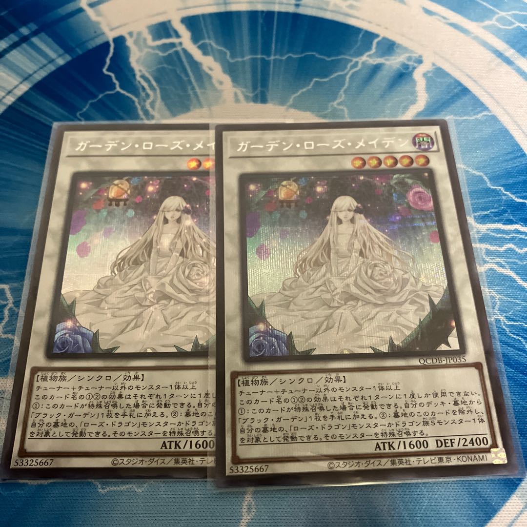 Garden Rose Maiden Secret