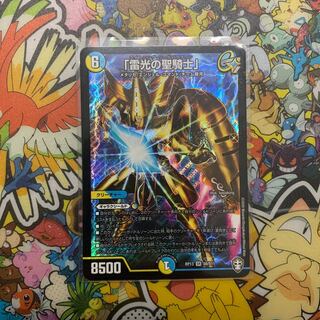 「雷光の聖騎士」