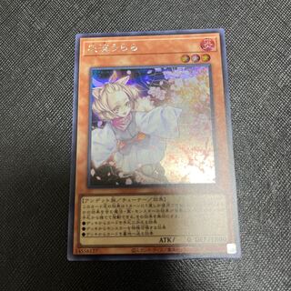 Ash Blossom & Joyous Spring Secret Rare