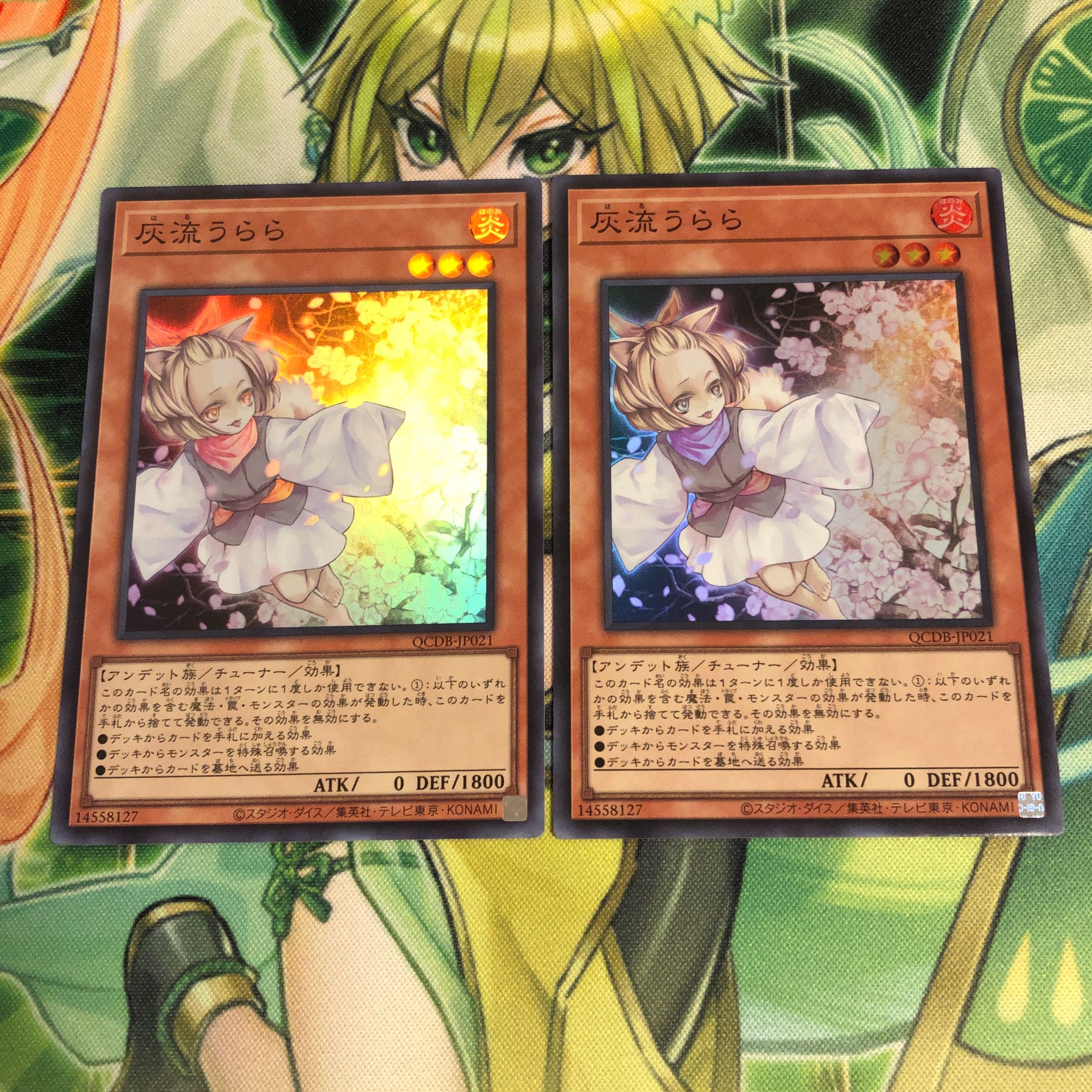 Ash Blossom & Joyous Spring Super 2 CDs QCDB