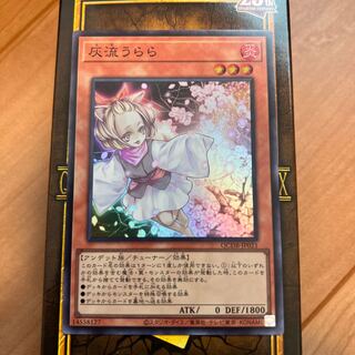 Ash Blossom & Joyous Spring