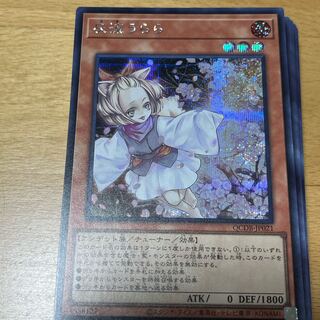 Ash Blossom & Joyous Spring Secret Rare