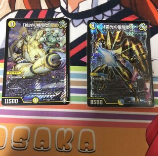 「絶対の楯騎士」「雷光の聖騎士」セット