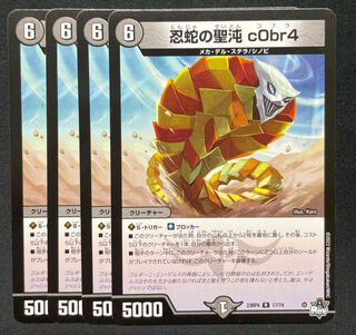 忍蛇の聖沌 c0br4