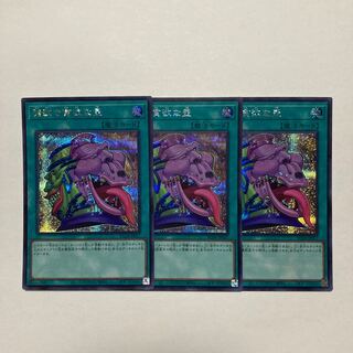 貪欲な壺 シークレット」の激安通販 | magi