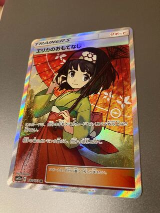 Erika's Hospitality SR 190/173