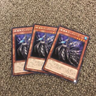 揺海魚デッドリーフ レア JP033