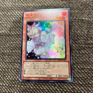 Ash Blossom & Joyous Spring