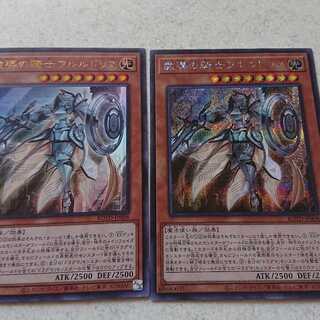 教導の騎士フルルドリス