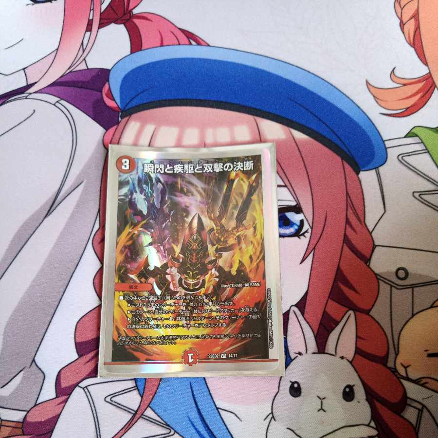 The Decision of Twinstrike and Twinstrike VR 7/102