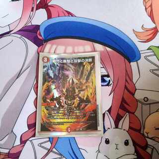 The Decision of Twinstrike and Twinstrike VR 7/102