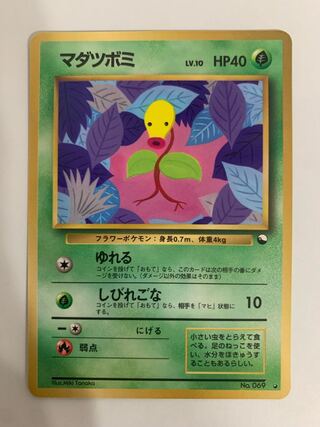 マダツボミ/拡張シート ポケモンカード旧裏