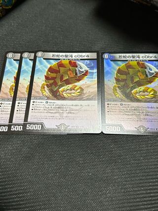 忍蛇の聖沌c0br4