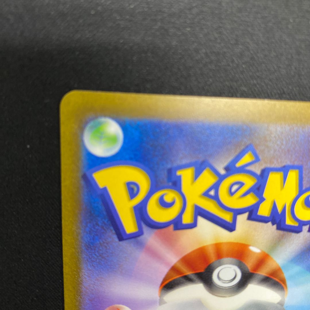 Blastoiseex SAR 202/165