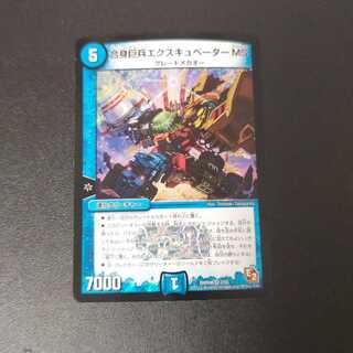 Combined Giant Trooper Excubator MS VR 2/55 1枚