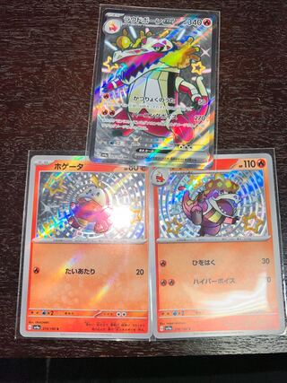 ホゲータ S 215/190 1枚