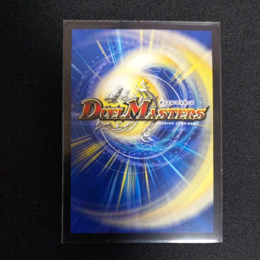 Chief of the Hundred Tribes Puchohenza SE L1(secret)1/L2