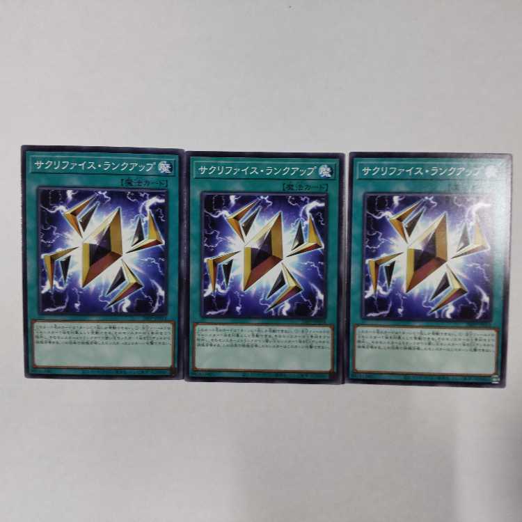 24PP-JP014 N (Normal) Relinquished, Ranked up 3 cards Premium Pack 2024 Yu-Gi-Oh!
