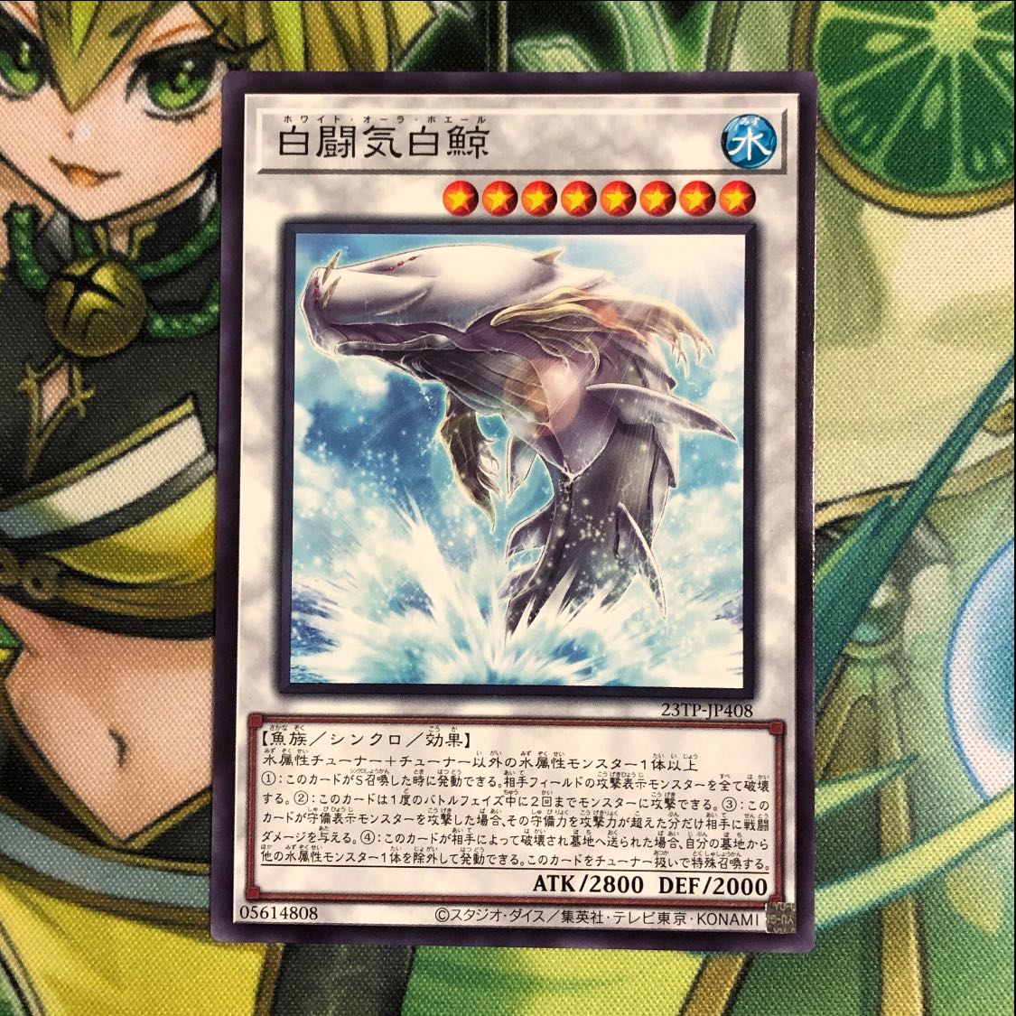 White Aura Whale Normal