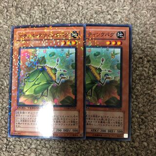 Naturia Stinkbug Normal JP028