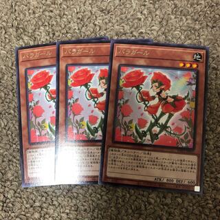 Rose Girl rare JP055
