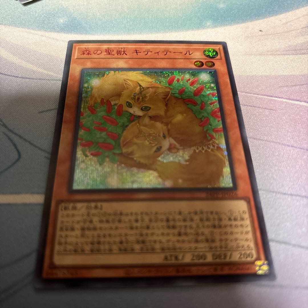 森の聖獣 キティテール　赤シク