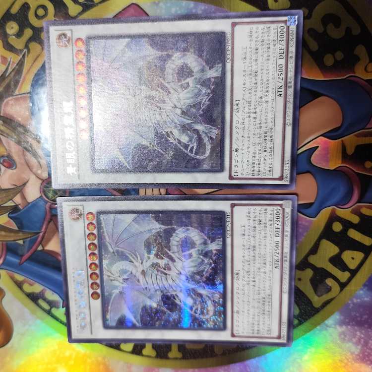 青眼の精霊龍 シークレットレア QCCP-JP010 2枚セット