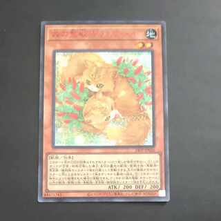Holy Beast of Forest Kitty Tail Secret Rare 24PP JP026 [Korindo