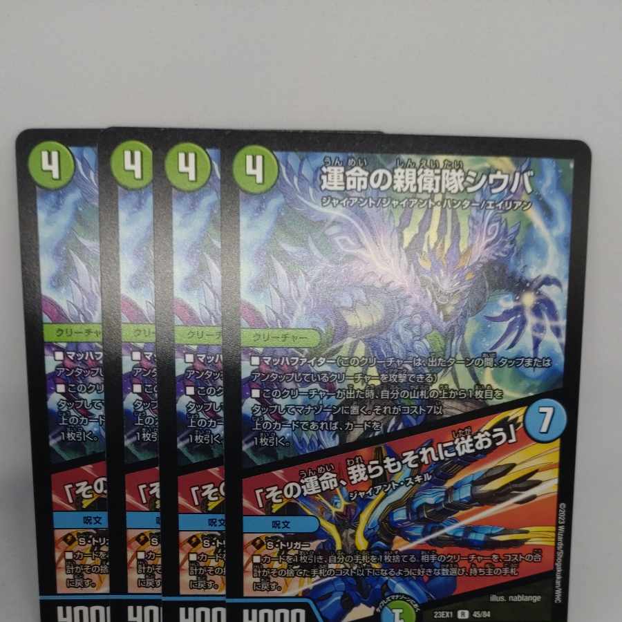 Shiba, SS of Fate｜"That fate, we shall follow it" R 45/84