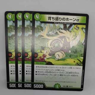 Growing Horn Alpha C 103/112