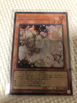 Ash Blossom & Joyous Spring Secret Rare QCDB-JP021