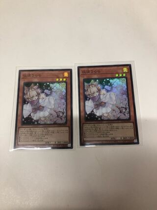 Ash Blossom & Joyous Spring Super Rare 2-card set