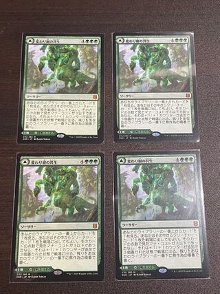 MTG 変わり樹の共生 拡張foil ミントモール / MINT GAMES MTG(東日本橋) / 【ZNR】【ENG