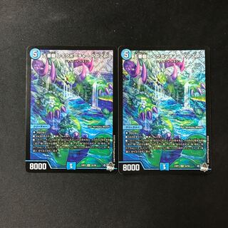 五番龍 レイクポーチャー ParZero SR S2/S8 2枚