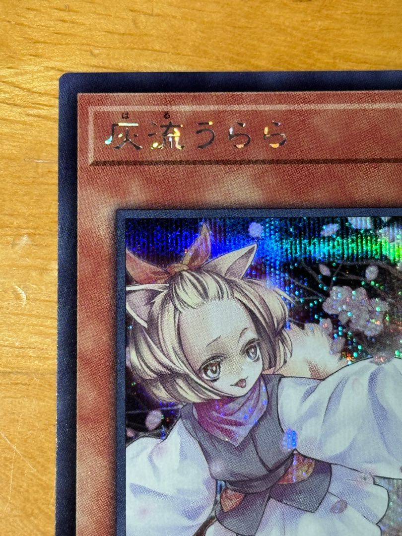 Ash Blossom & Joyous Spring Secret Rare QCDB-JP021