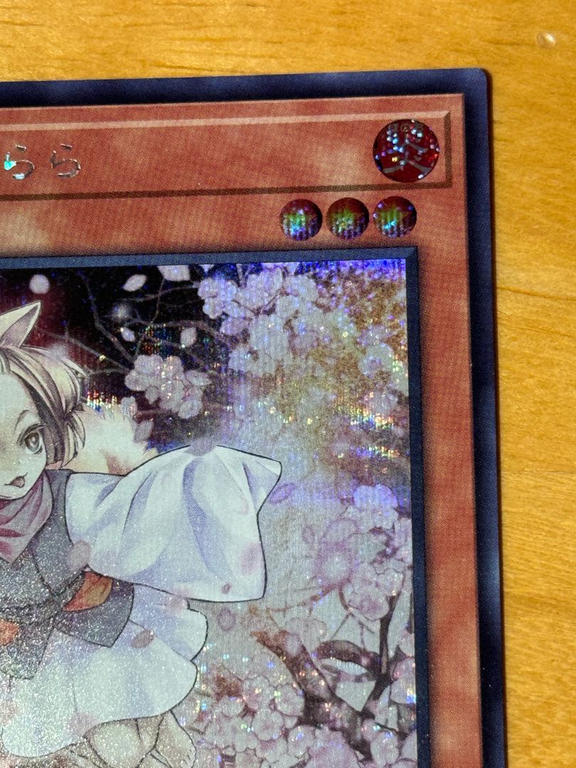 Ash Blossom & Joyous Spring Secret Rare QCDB-JP021