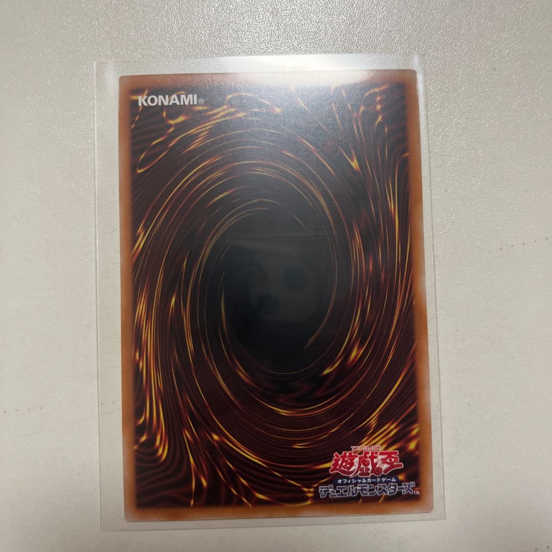 Garden Rose Rosa Den 25th