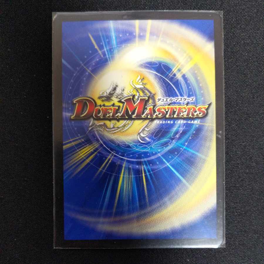 Black Bean Danshaku｜White Rice Danshaku VR 9/93