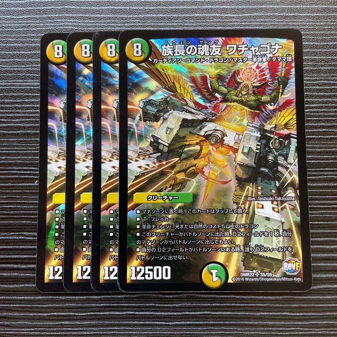 Wachagona, the chief's soul friend SR S5/S9