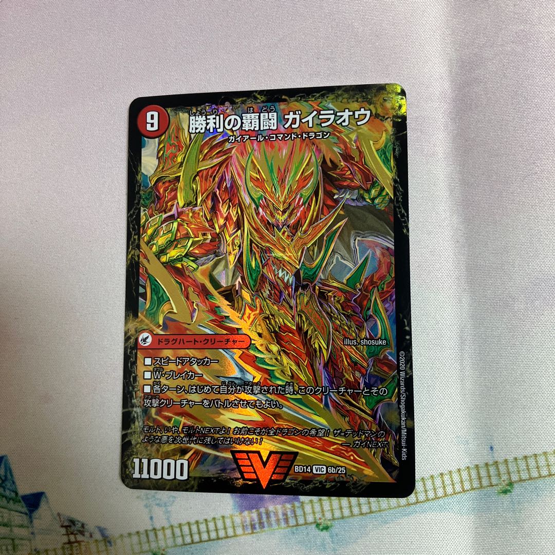 Ha Fighting Shoguryu Sword Gaiowu Burn｜Ha Fighting Gaiowu VIC 6a/25｜6b/25