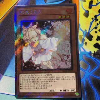 Ash Blossom & Joyous Spring Exquisite Extra Secret