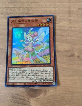 丘と芽吹の春化精 スーパーレア JP016