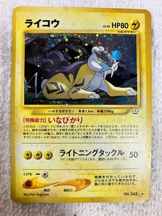 Raikou Old Back