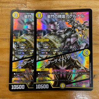 Akernal, the Spirit of the Star Gate｜Stargaze Gate VR 25/138