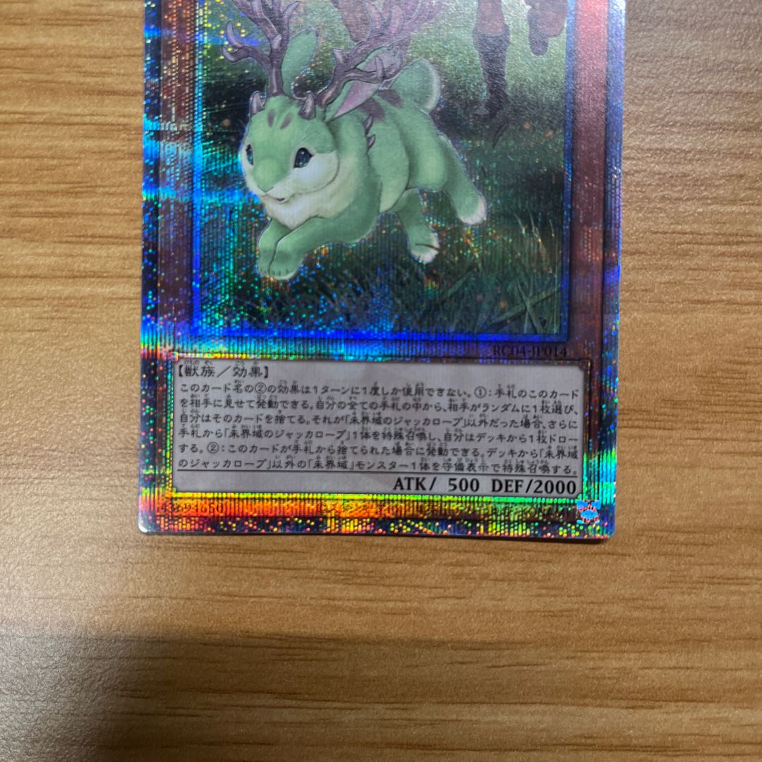 Danger! Jackalope? QSE JP014 25th