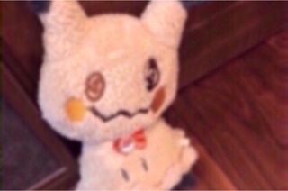 2024年福袋！！5万円Ver